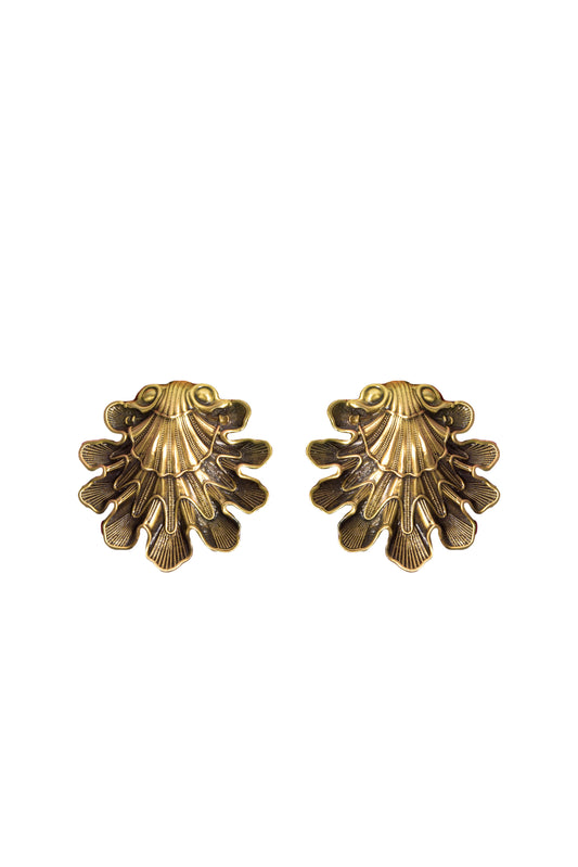 Seashell earrings