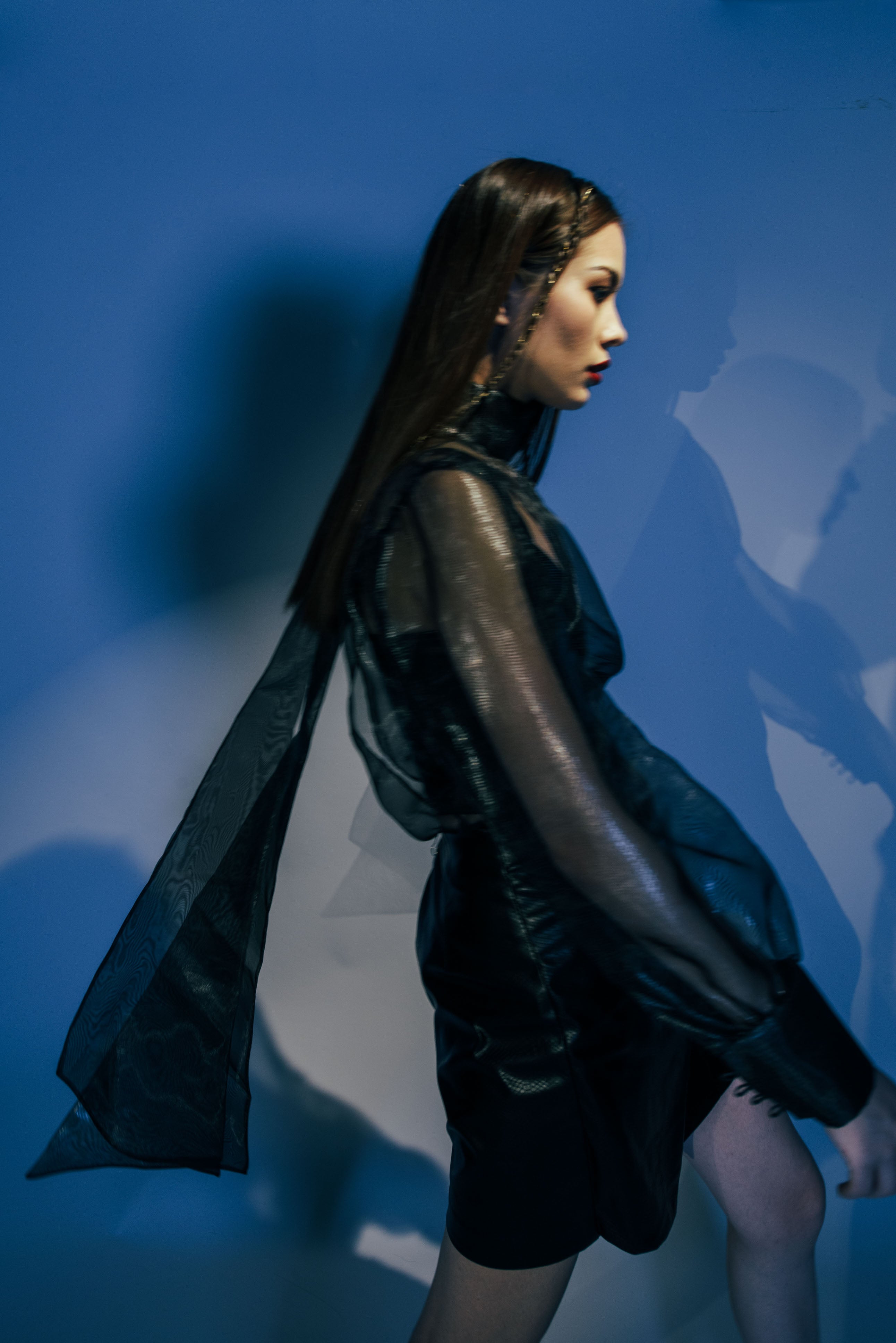 Organza Blouse with neck back tie