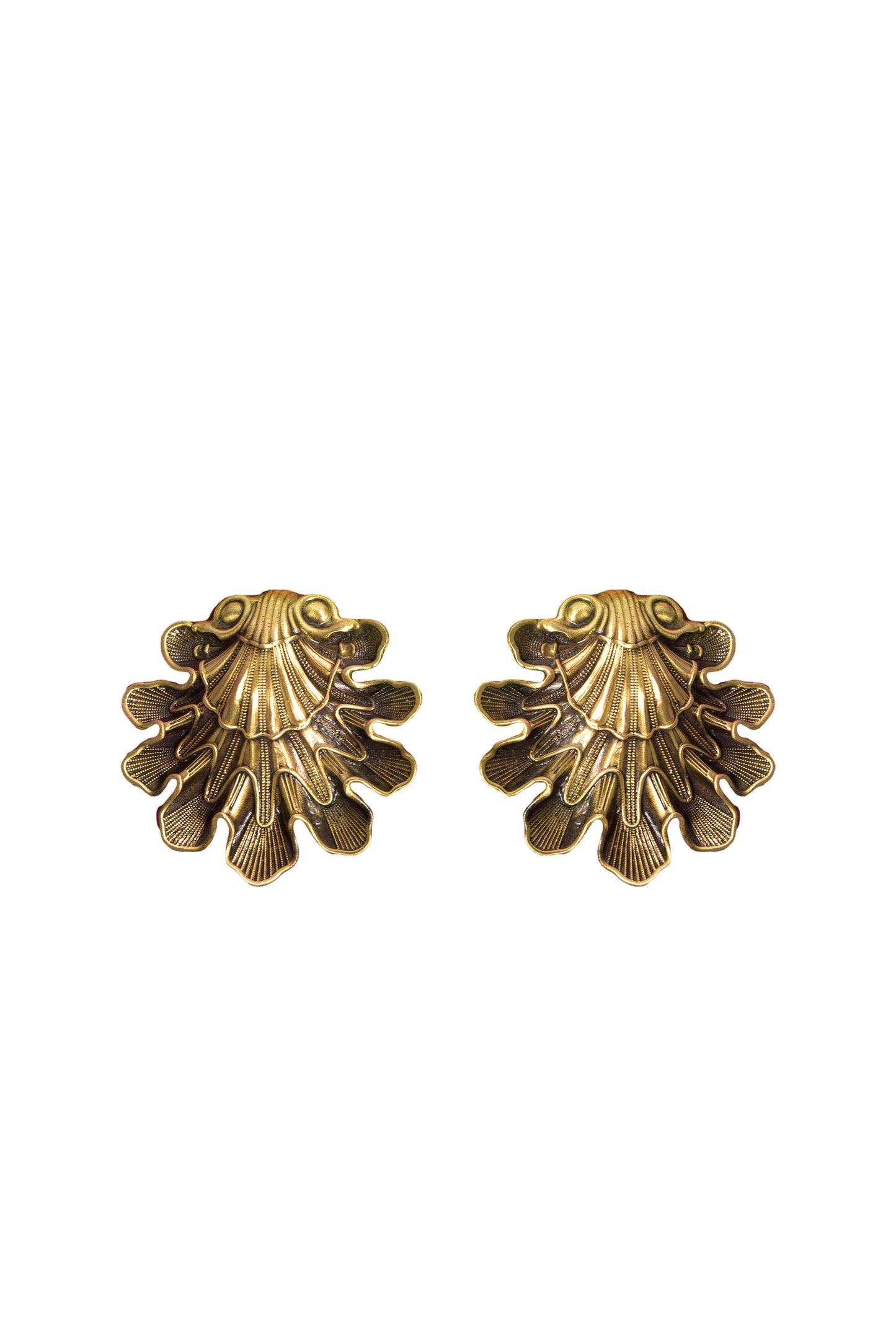 Seashell earrings